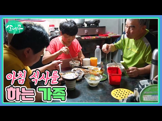 아침 식사를 하는 가족 MBN 260829 방송