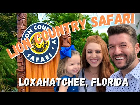 Lion Country Safari | Things to do in West Palm Beach, Florida Zoo