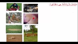 BEM( 4) بيام مراجعة