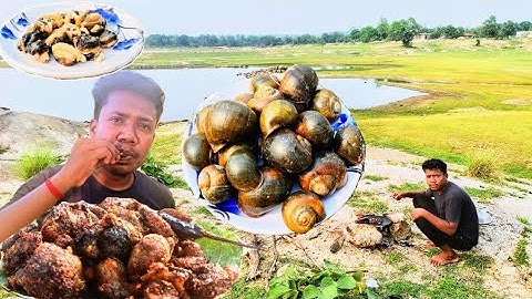 SNAIL FRY | NATHAI VARUVAL | SNAIL RECIPE COOKING AND EATING IN DAM | VILLAGE COOKING | BIJU BABU