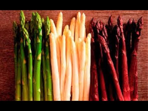 სატაცურით დაინტერესებული კიდევ ერთი ქართველობა აღმოჩენილია ... იცოცხლეთ და წარმატებები ...