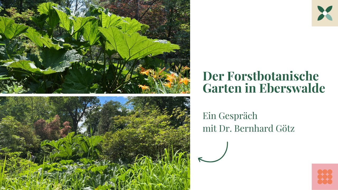 Parks & Gärten in Brandenburg der Forstbotanische Garten Eberswalde