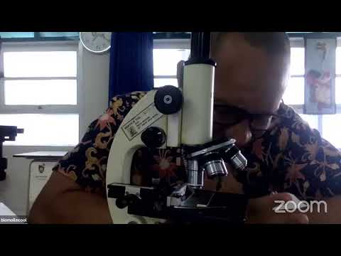 Video: Puas scanning electron microscope nqi?