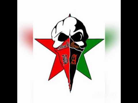 من أجمل أغاني الجيش الملكي