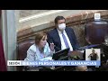 INTERVENCIÓN - SENADORA VIGO - SESIÓN 29-12-21