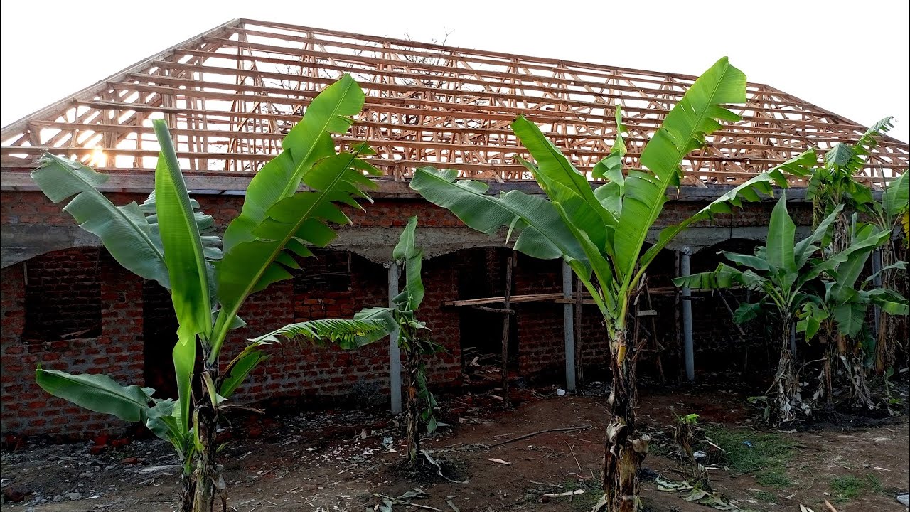 Updates on the roofing stage