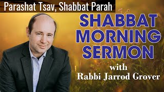 Rabbi Jarrod Grover Shabbat Sermon For Parashat Tsav Shabbat Parah