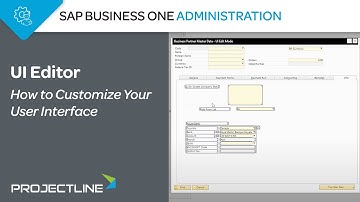 SAP Business One UI Editor | How to Customize Your User Interface