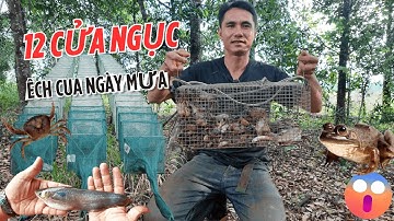 TEST 12 CỬA NGỤC CHUẨN BỊ CHO MÙA MƯA SẮP ĐẾN TRÊN SUỐI CUA ẾCH | PHÚ 9 VLOG