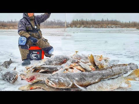 ОНИ РВУТ ЛЕСКУ И РАЗГИБАЮТ МОРМЫШКИ! ДРУГ ПРОПАЛ! СПАСАЕМ!