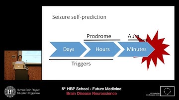Mackay Michael - Seizure self-prediction in epilepsy