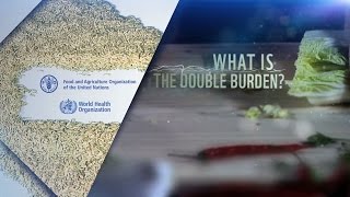 WHO-FAO: International Conference on Nutrition: What is the double burden?