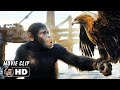 Eagle hunt scene  kingdom of the planet of the apes 2024 movie clip