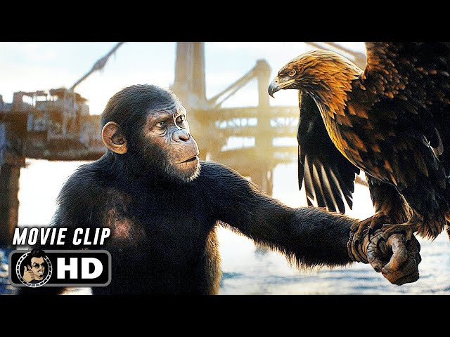 Eagle Hunt Scene | KINGDOM OF THE PLANET OF THE APES (2024) Movie CLIP HD class=