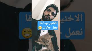 قطط شارع ؛/ الاختين سريعة ??‍⬛ مين فاكرهم القط rescue حيواناتأليفة قطط animals cat cutecat