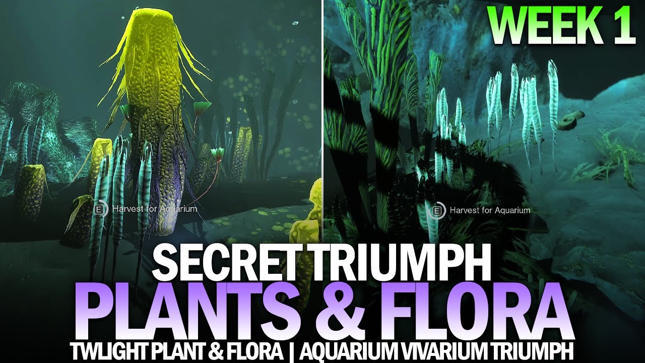 All Secret Plants & Flora Locations Guide - Week 1  (Twilight Plant & Twilight Flora) [Destiny 2]