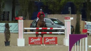 Dublin H 140 cm Grand prix Junior Tour CSIJ A LINZ - Winner -1.place