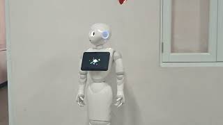 JANEYSHA'S ROBOTS UNIVERSAL DYNAMICS PEPPER FINAL
