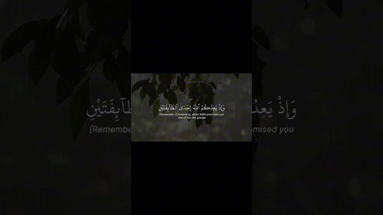 أكتب شئ تؤجر عليه 🤍#fyp #قران #quran #ياسر_الدوسري