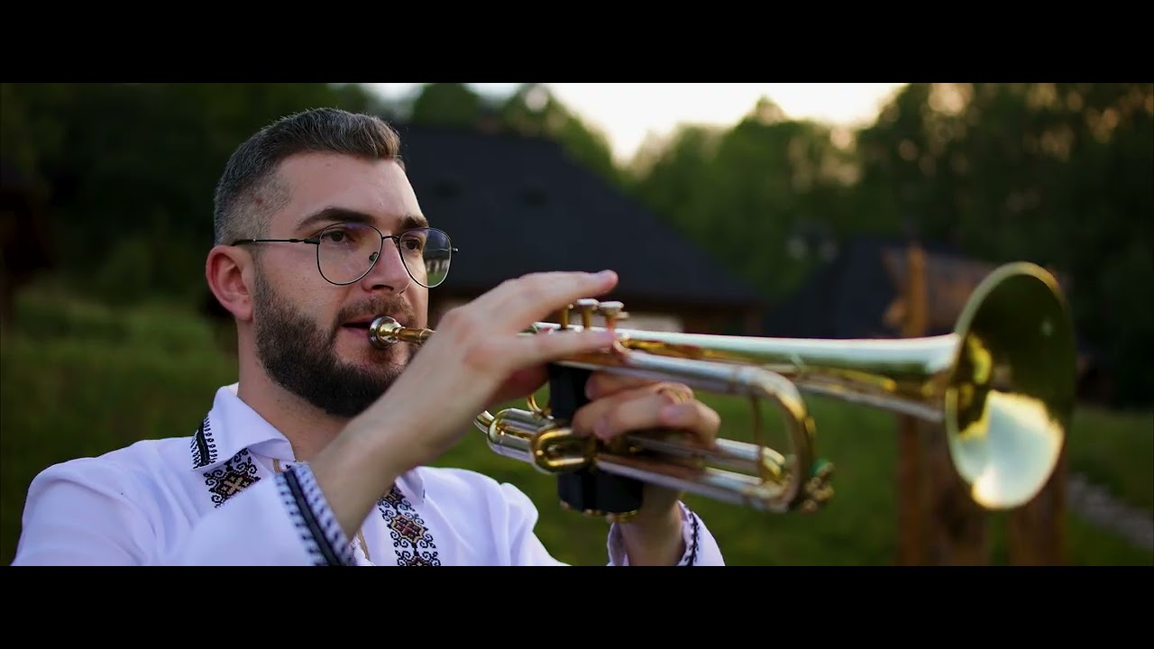 Grig Gafincu - Sarba