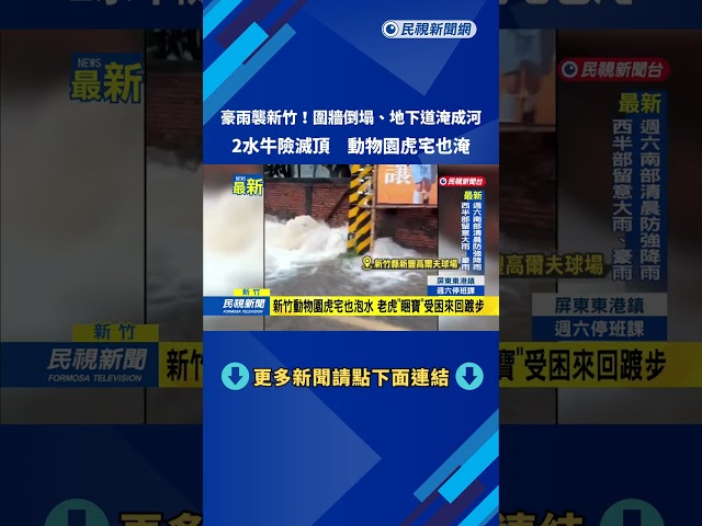 豪雨襲新竹！　圍牆倒塌、地下道淹成河　2水牛險滅頂－民視新聞