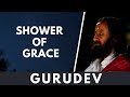 Shower of grace  a guided meditation with gurudev sri sri ravi shankar