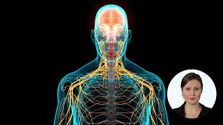 What Is Hemiplegia?