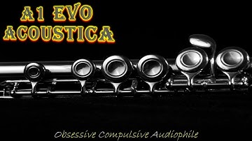 A1 Evo Acoustica