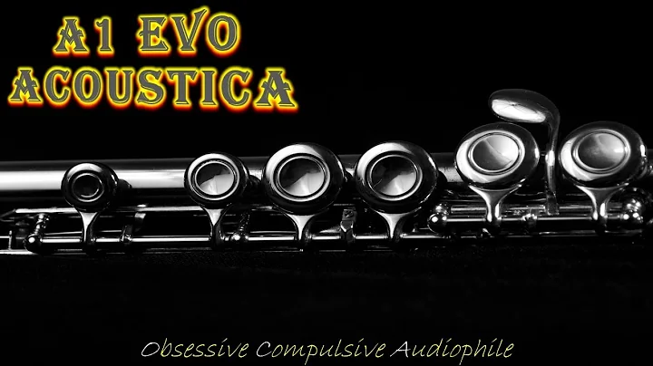 A1 Evo Acoustica