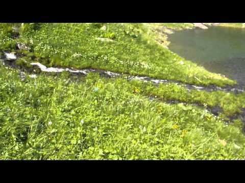 პირაქეთა ხევსურეთი, აბუდელაურის მწვანე ტბა