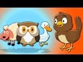 животных Звук песни | образовательных видео | животное песня | Song For Children | Animal Sound Song