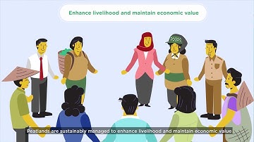 GIZ - Sustainable Use of Peatland and Haze Mitigation in ASEAN (SUPA)