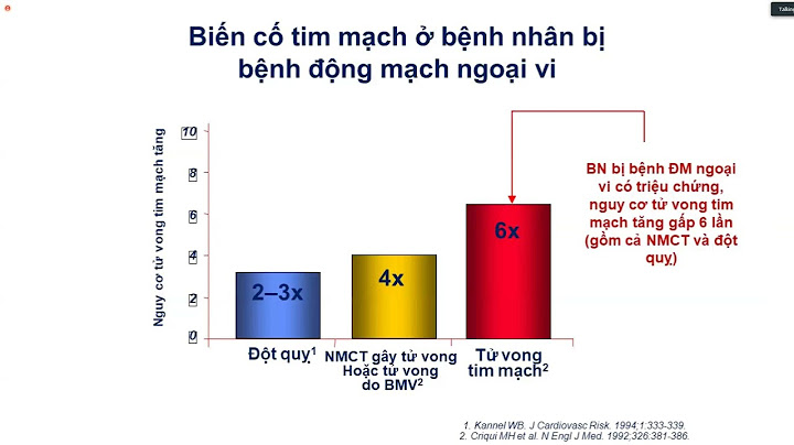 Nghiên cứu tiền lâm sàng là gì năm 2024