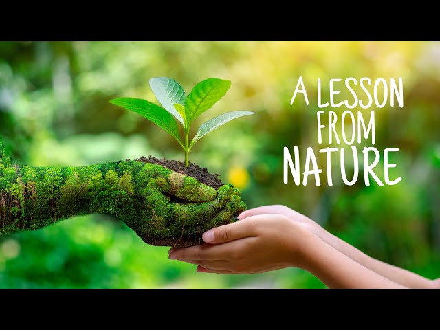 A lesson from nature | Moral Story | Short animated Story | Bedtime Story class=