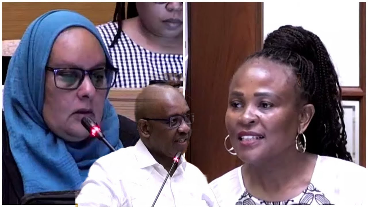 Pretoria Court Drama: Impeached Mkhwebane vs. Public Protector Office (2024)