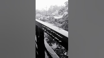 ان الانسان لربه لكنود،  وانه على ذلك لشهيد || حالات واتس اب قران كريم 🍁🌼