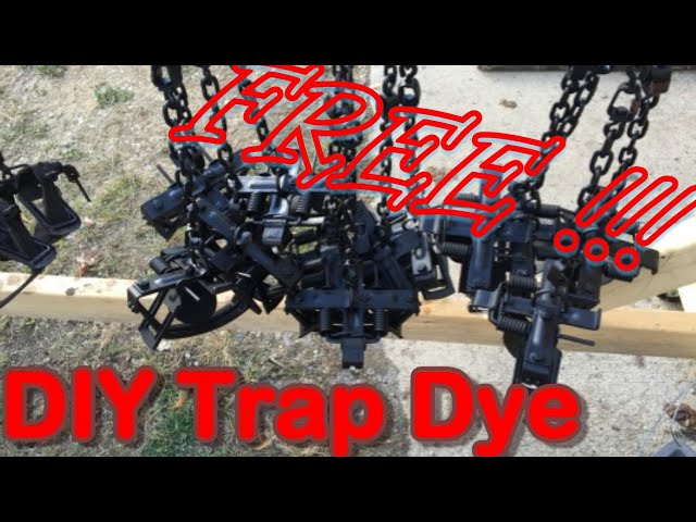 Black Trap Dye By Performance Trapping Gear Super Concentrated Trap Dye Logwood Log Wood