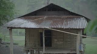 เสียงฝนตกบนหลังคาสังกะสี 5 ชม | หลับลึก ผ่อนคลาย ไม่มีโฆษณา | Tin Roof Rain Sounds for Deep Sleep