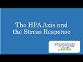 The HPA Axis and the Stress Response