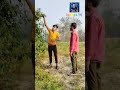 #shorts phool Tod Raha hu bhai Subscribe me bhayo #sevengers #mujjuu___14 #Rahman295 #ibhrahim420