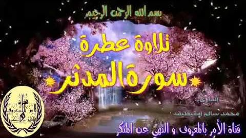 تلاوة تقشعر لها الأبدان/سورة المدثر/ القارىء محمد سالم أمقيطيف