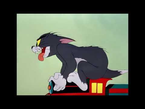 Tom and Jerry, 79 Episode   Life with Tom 1953