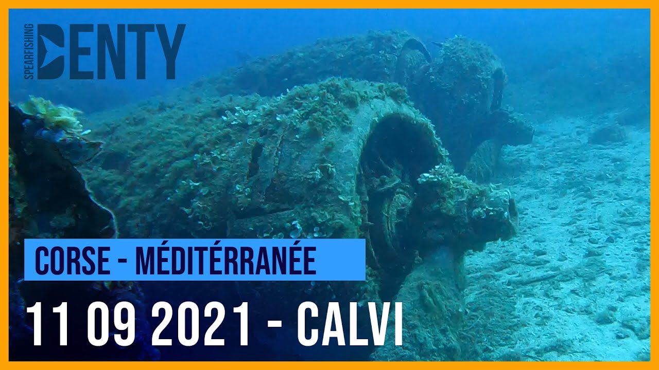Chasse sous-marine sur le B17 de Calvi 2021.
