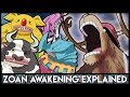 Explaining Zoan Devil Fruit Awakening - The Jailer Beasts And Monster Chopper | One Piece