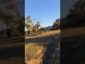 Trail Riding pov #ebike #offroad #offroading #fun #shortvideo #shorts #fyp