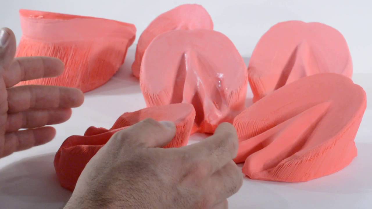 Horse hoof corium anatomy flexible casts YouTube