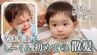 弟しーくん初ヘアカット！兄りっくんは大号泣。 1歳10ヶ月と０歳10ヶ月 1year and 10month ＆ 0year and 10month