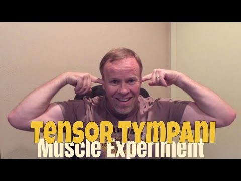Tensor tympani muscle experiment (Ear experiment) - YouTube