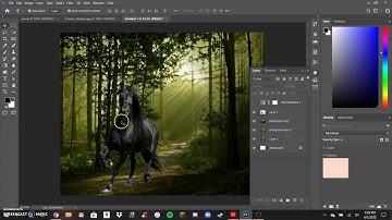 Unit 6 Composition Project