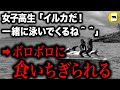 女子高生「イルカだ!一緒に泳いでくるね!」→飛び込んで間もなく食いちぎられ...「オーストラリア・女子高生サメ襲撃事件」